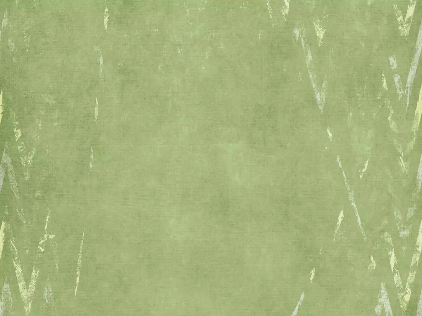 Walt 68X5 Fleece ( 80 X 60 Inch ) Backdrop