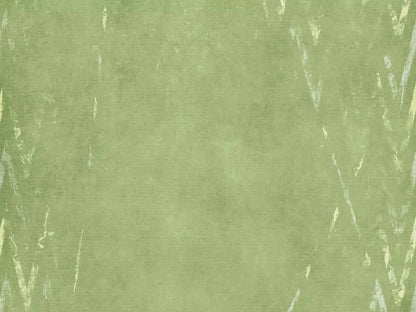 Walt 68X5 Fleece ( 80 X 60 Inch ) Backdrop