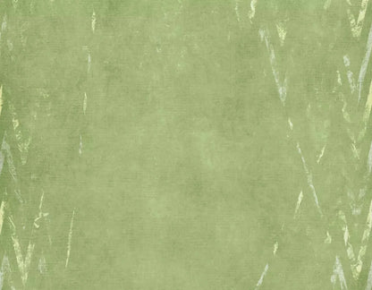 Walt 8X6 Fleece ( 96 X 72 Inch ) Backdrop