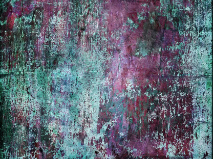 Walter 68X5 Fleece ( 80 X 60 Inch ) Backdrop