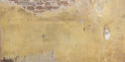 Warehouse 20X10 Ultracloth ( 240 X 120 Inch ) Backdrop