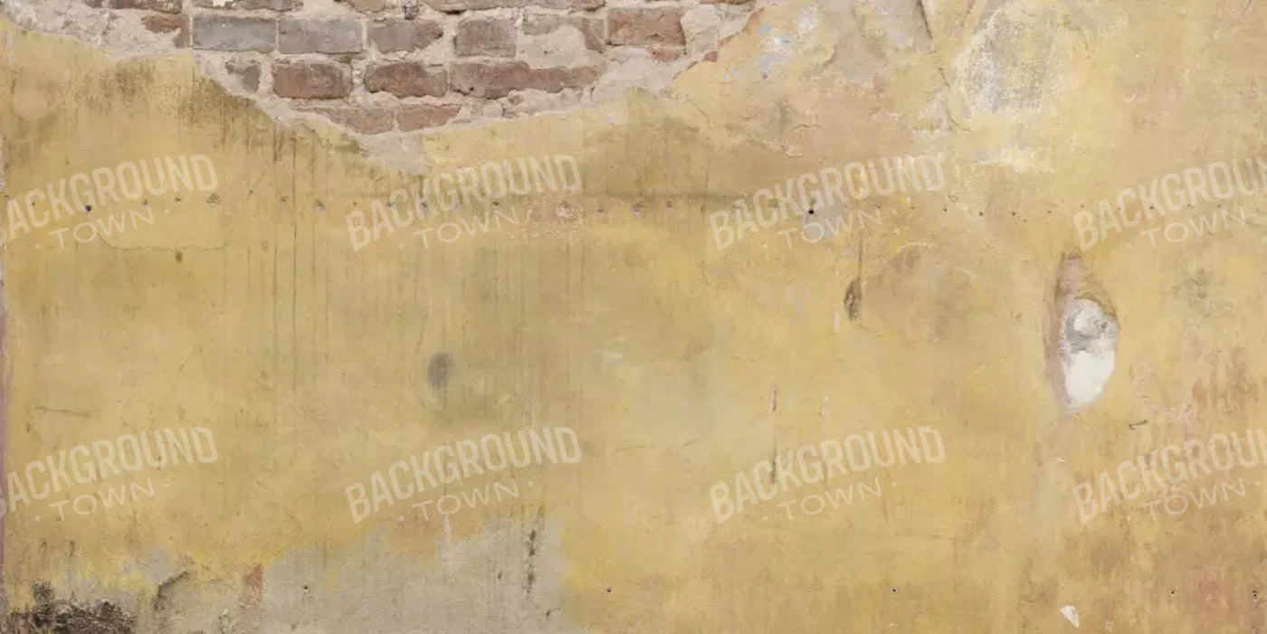 Warehouse 20X10 Ultracloth ( 240 X 120 Inch ) Backdrop