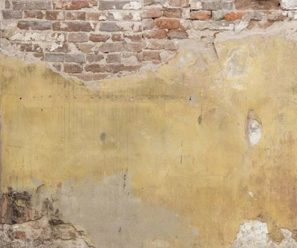 Warehouse 5X42 Fleece ( 60 X 50 Inch ) Backdrop