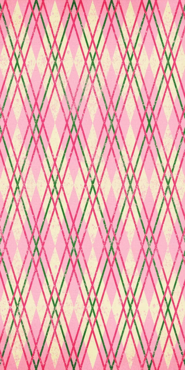 Watermelon 10X20 Ultracloth ( 120 X 240 Inch ) Backdrop
