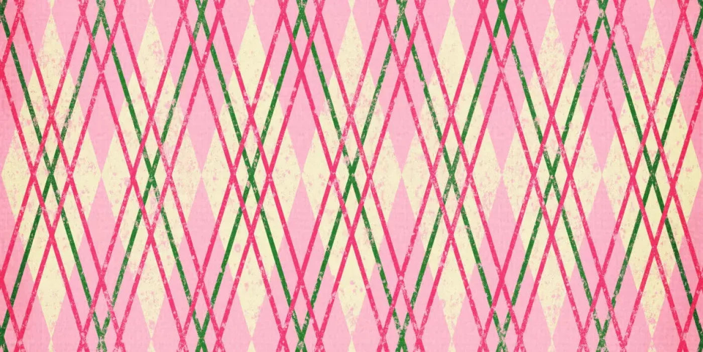 Watermelon 20X10 Ultracloth ( 240 X 120 Inch ) Backdrop