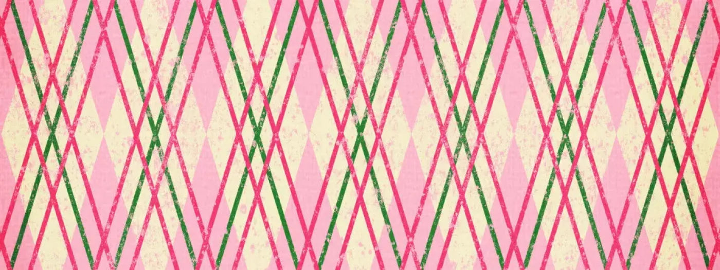 Watermelon 20X8 Ultracloth ( 240 X 96 Inch ) Backdrop