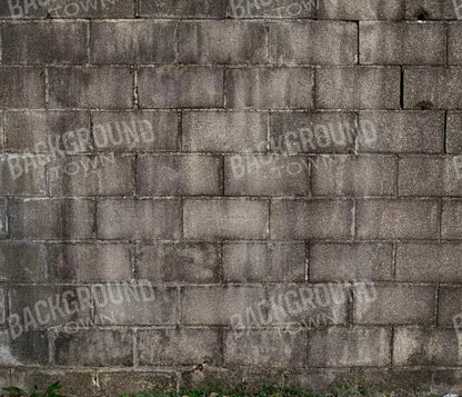 Weathered Cinderblock Wall 12X10 Ultracloth ( 144 X 120 Inch ) Backdrop