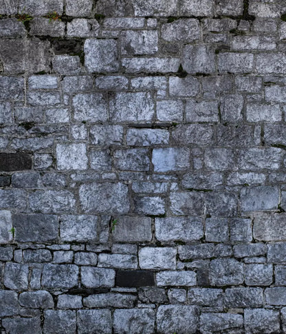 Weathered Cobblestone 10X12 Ultracloth ( 120 X 144 Inch ) Backdrop