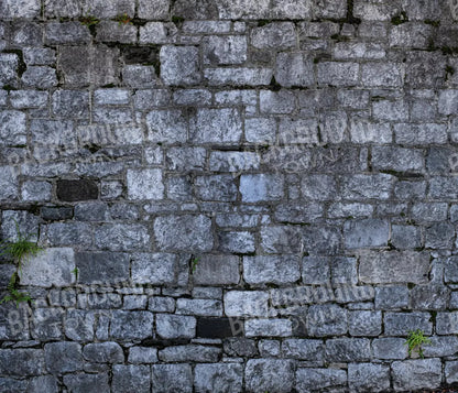 Weathered Cobblestone 12X10 Ultracloth ( 144 X 120 Inch ) Backdrop