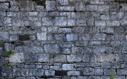 Weathered Cobblestone 14X9 Ultracloth ( 168 X 108 Inch ) Backdrop