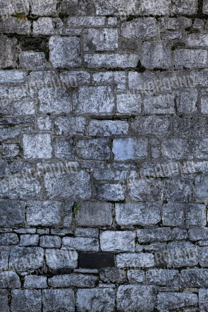 Weathered Cobblestone 5X8 Ultracloth ( 60 X 96 Inch ) Backdrop