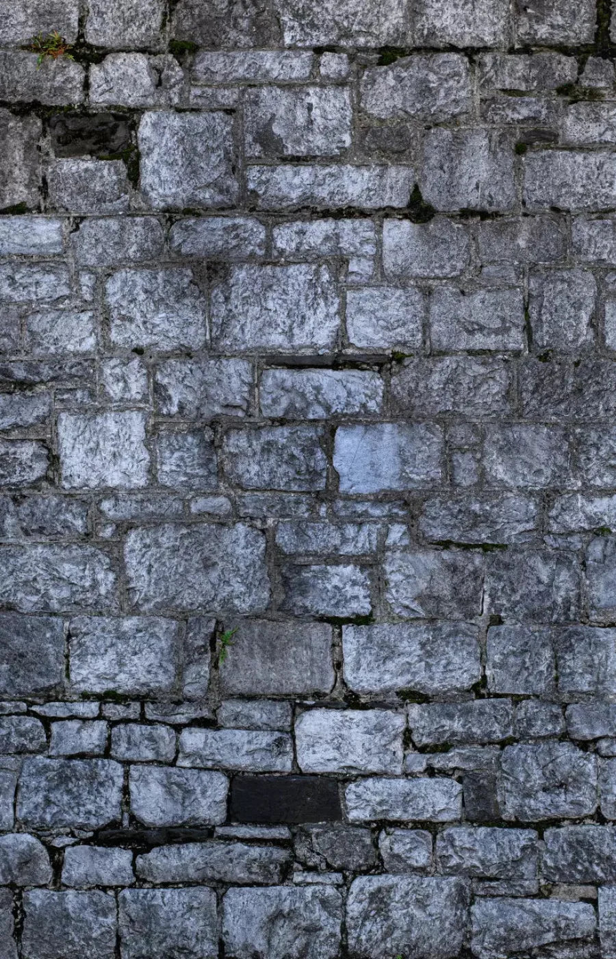 Weathered Cobblestone 8X12 Ultracloth ( 96 X 144 Inch ) Backdrop