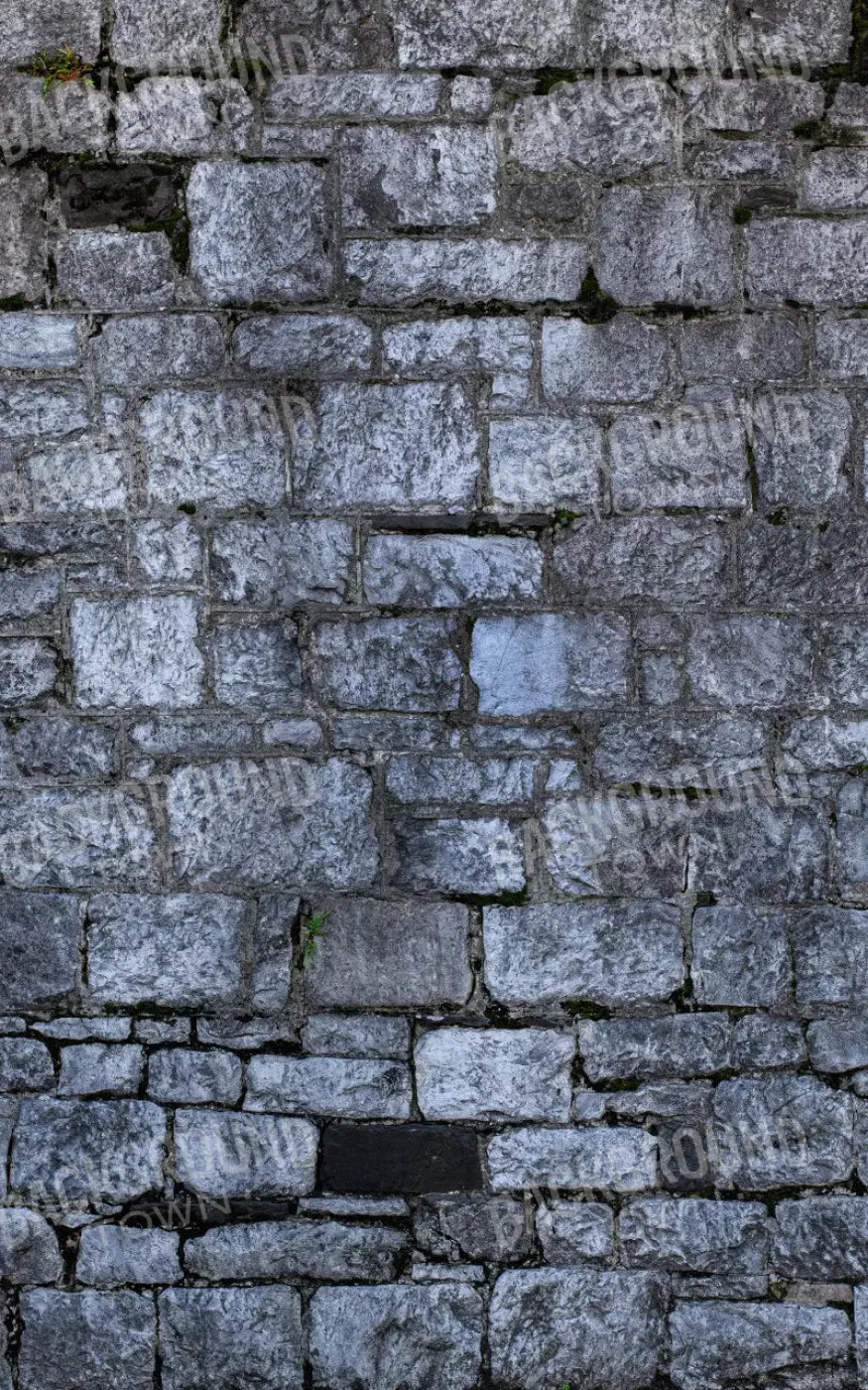 Weathered Cobblestone 9X14 Ultracloth ( 108 X 168 Inch ) Backdrop