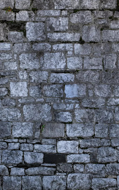 Weathered Cobblestone 9X14 Ultracloth ( 108 X 168 Inch ) Backdrop