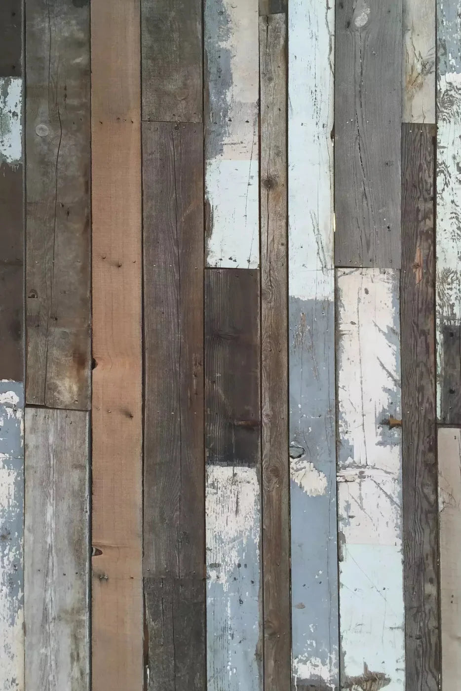 Weathered Woodland 5X8 Ultracloth ( 60 X 96 Inch ) Backdrop