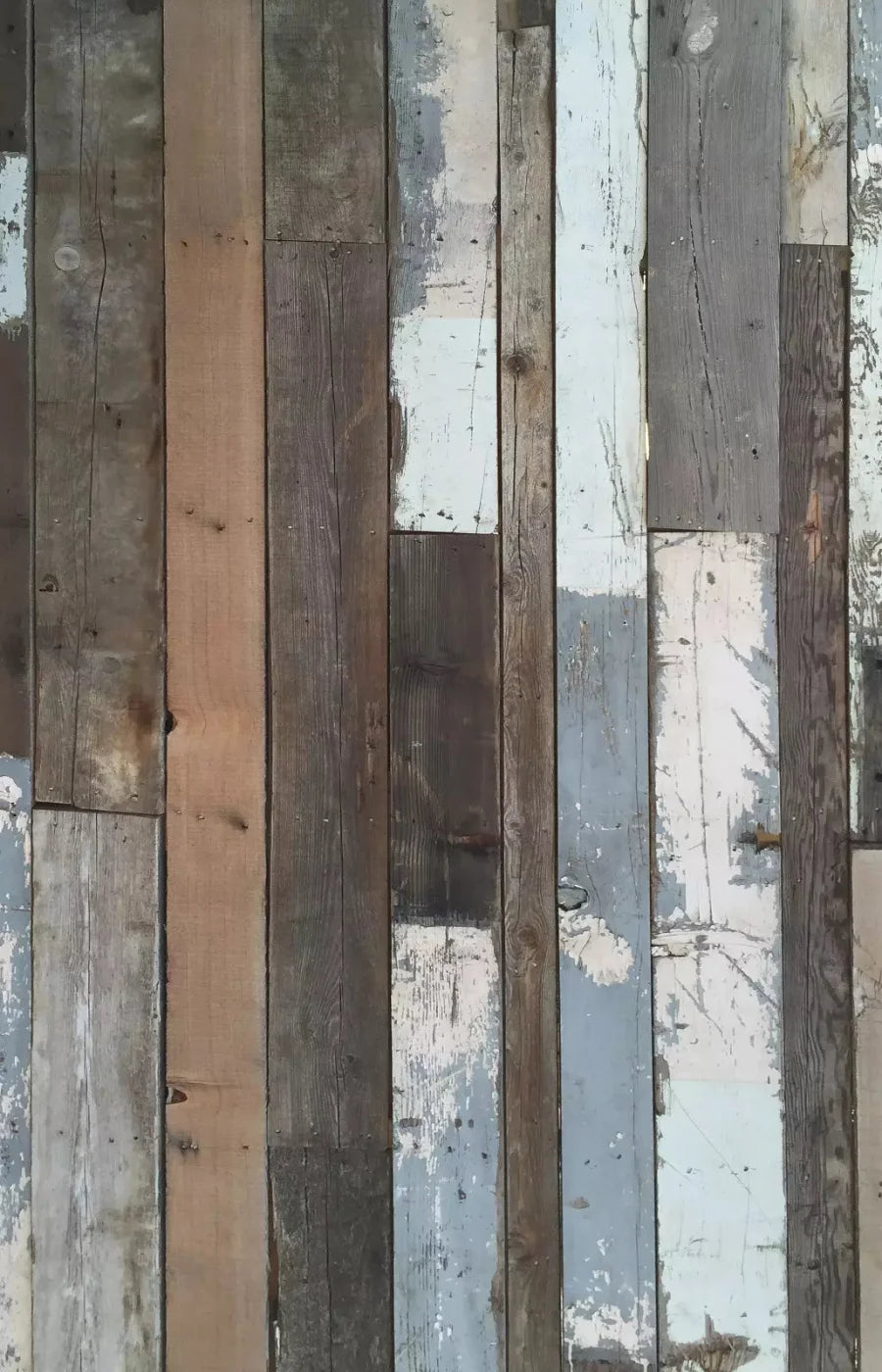 Weathered Woodland 8X12 Ultracloth ( 96 X 144 Inch ) Backdrop