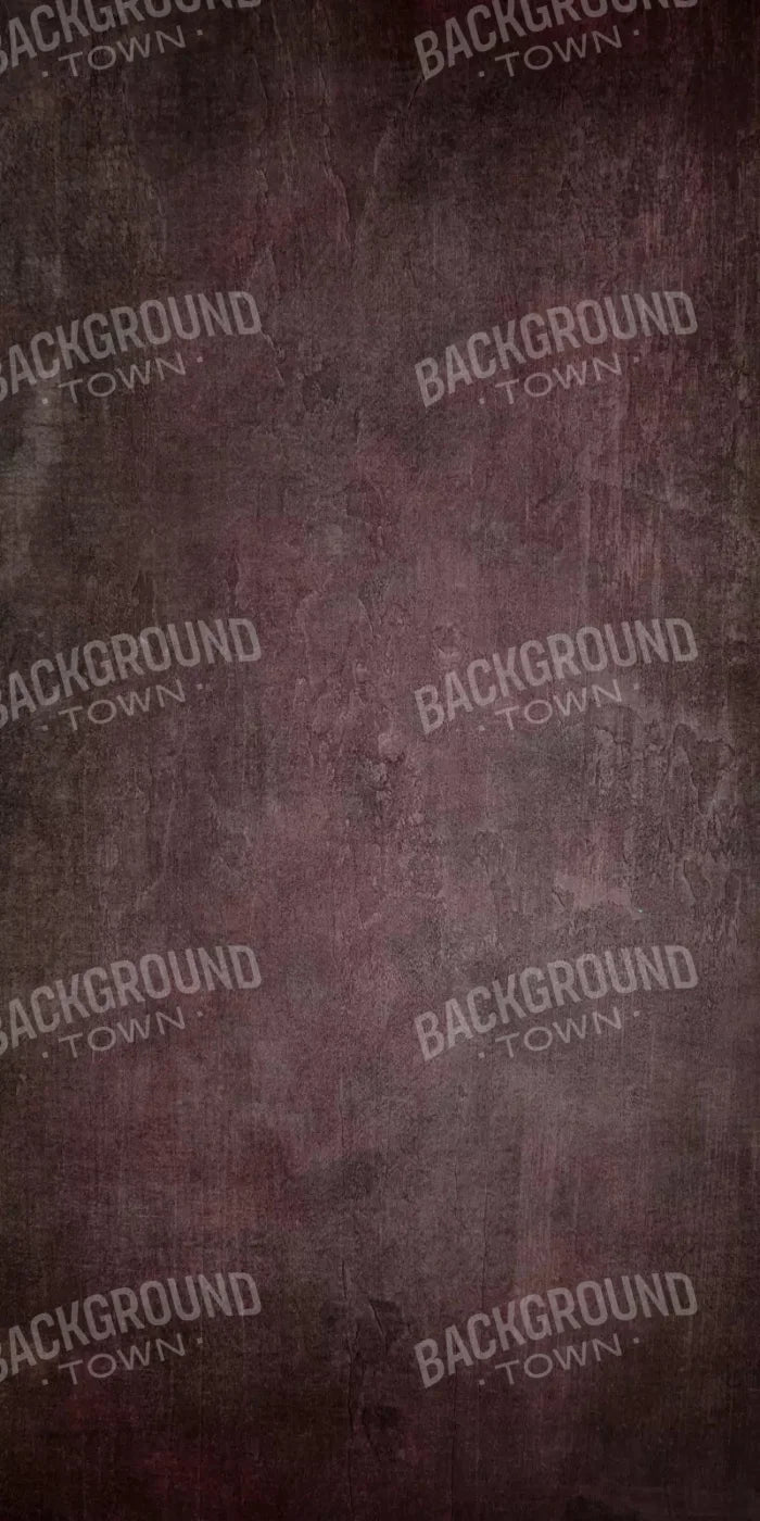 Webster 10X20 Ultracloth ( 120 X 240 Inch ) Backdrop