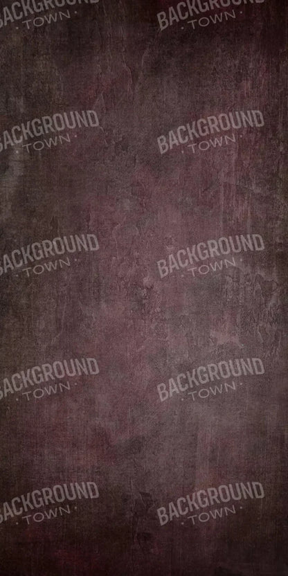 Webster 10X20 Ultracloth ( 120 X 240 Inch ) Backdrop