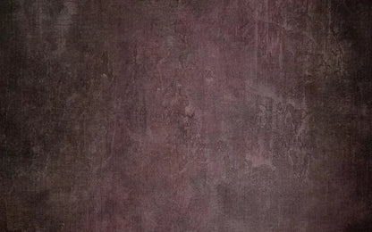Webster 14X9 Ultracloth ( 168 X 108 Inch ) Backdrop