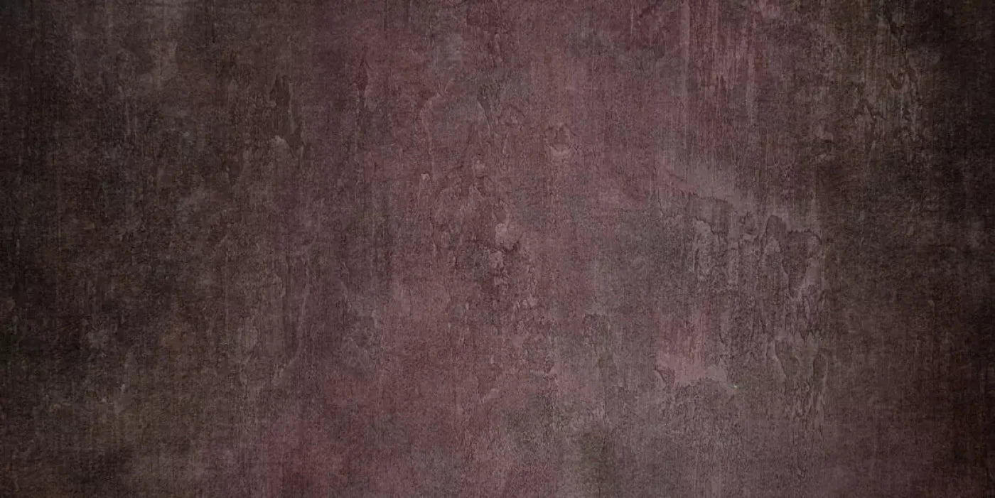 Webster 20X10 Ultracloth ( 240 X 120 Inch ) Backdrop