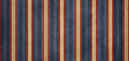 Wesley 16X8 Ultracloth ( 192 X 96 Inch ) Backdrop