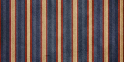 Wesley 20X10 Ultracloth ( 240 X 120 Inch ) Backdrop