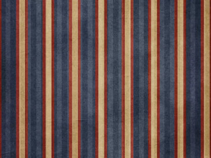 Wesley 68X5 Fleece ( 80 X 60 Inch ) Backdrop