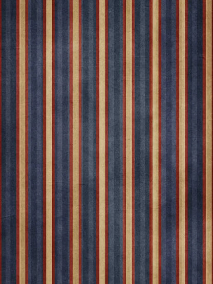 Wesley 8X10 Fleece ( 96 X 120 Inch ) Backdrop