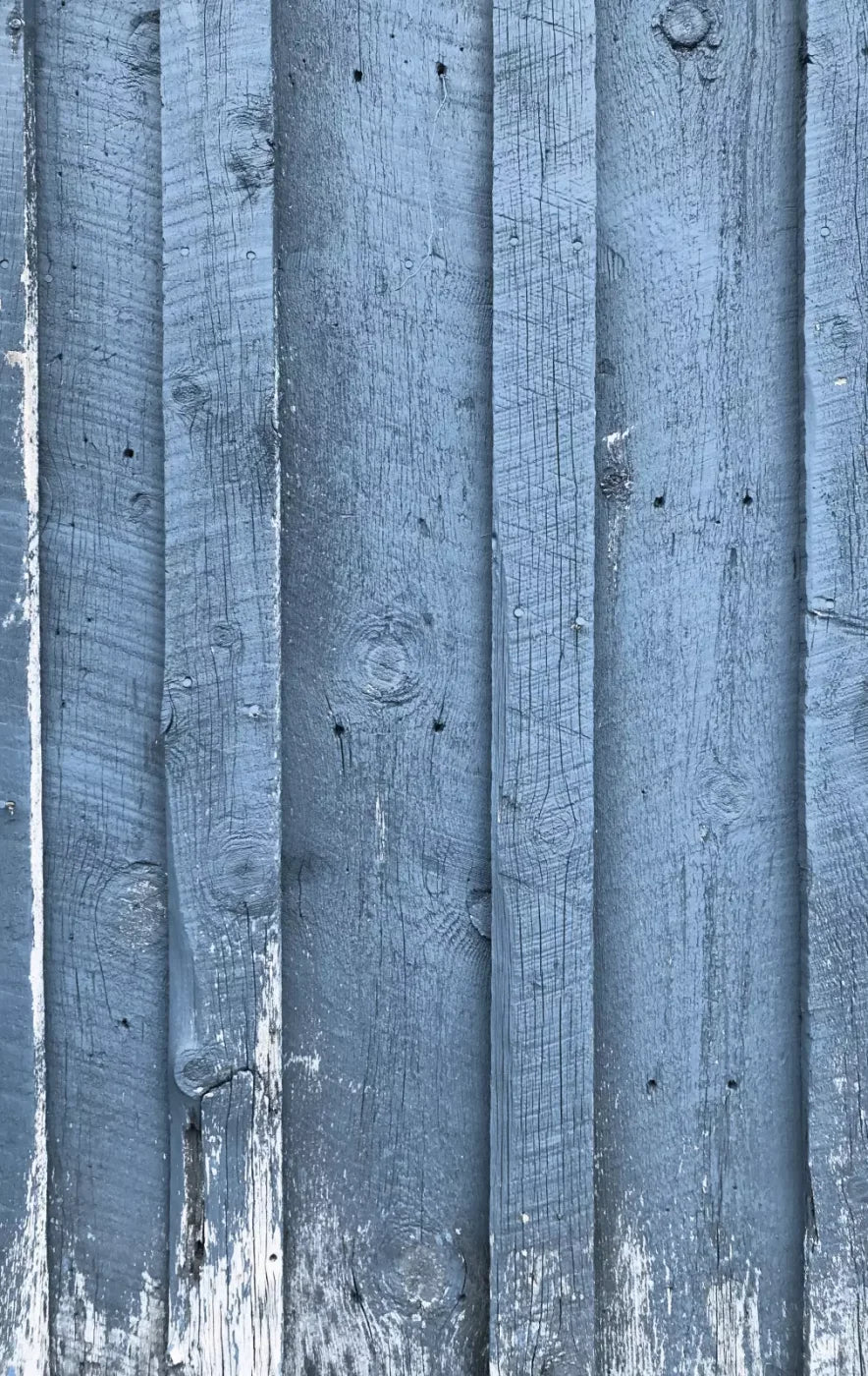 Wheeler 10’X16’ Ultracloth (120 X 192 Inch) Backdrop