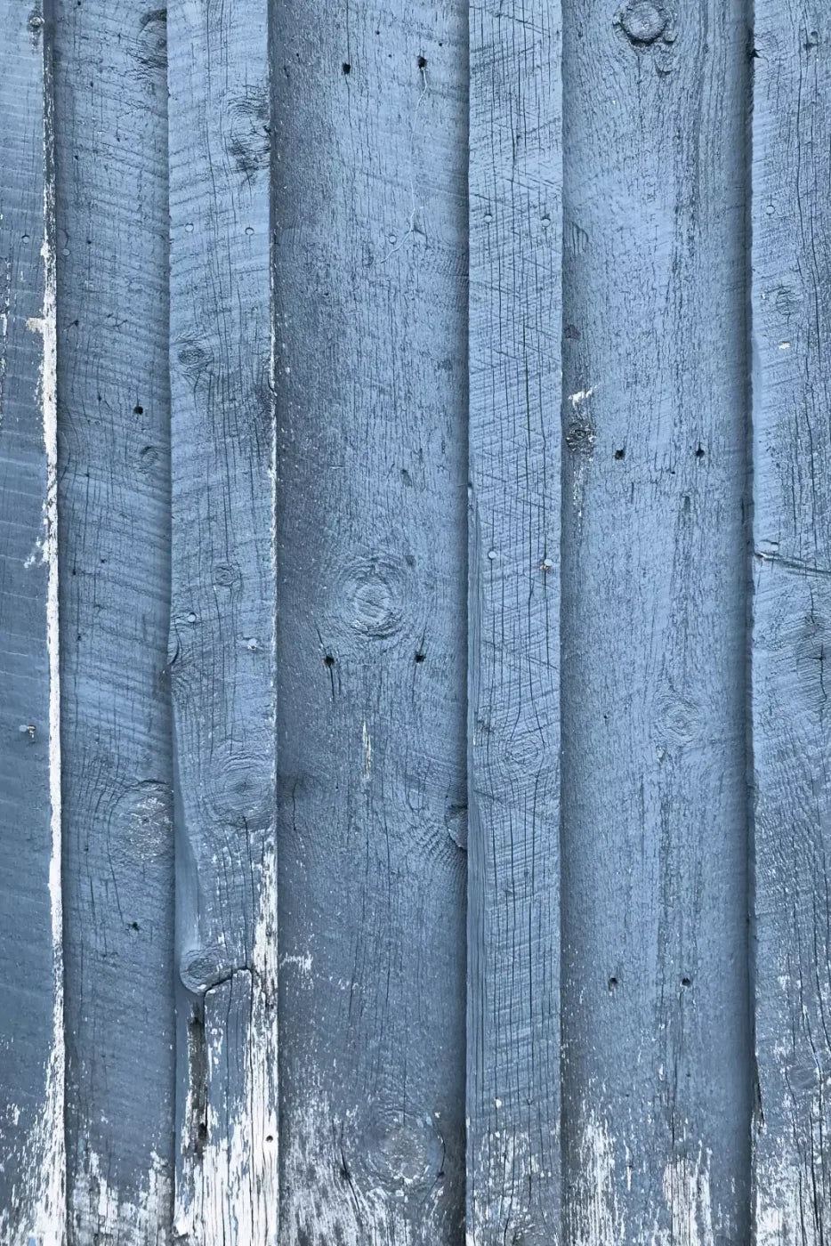 Wheeler 5’X8’ Ultracloth (60 X 96 Inch) Backdrop