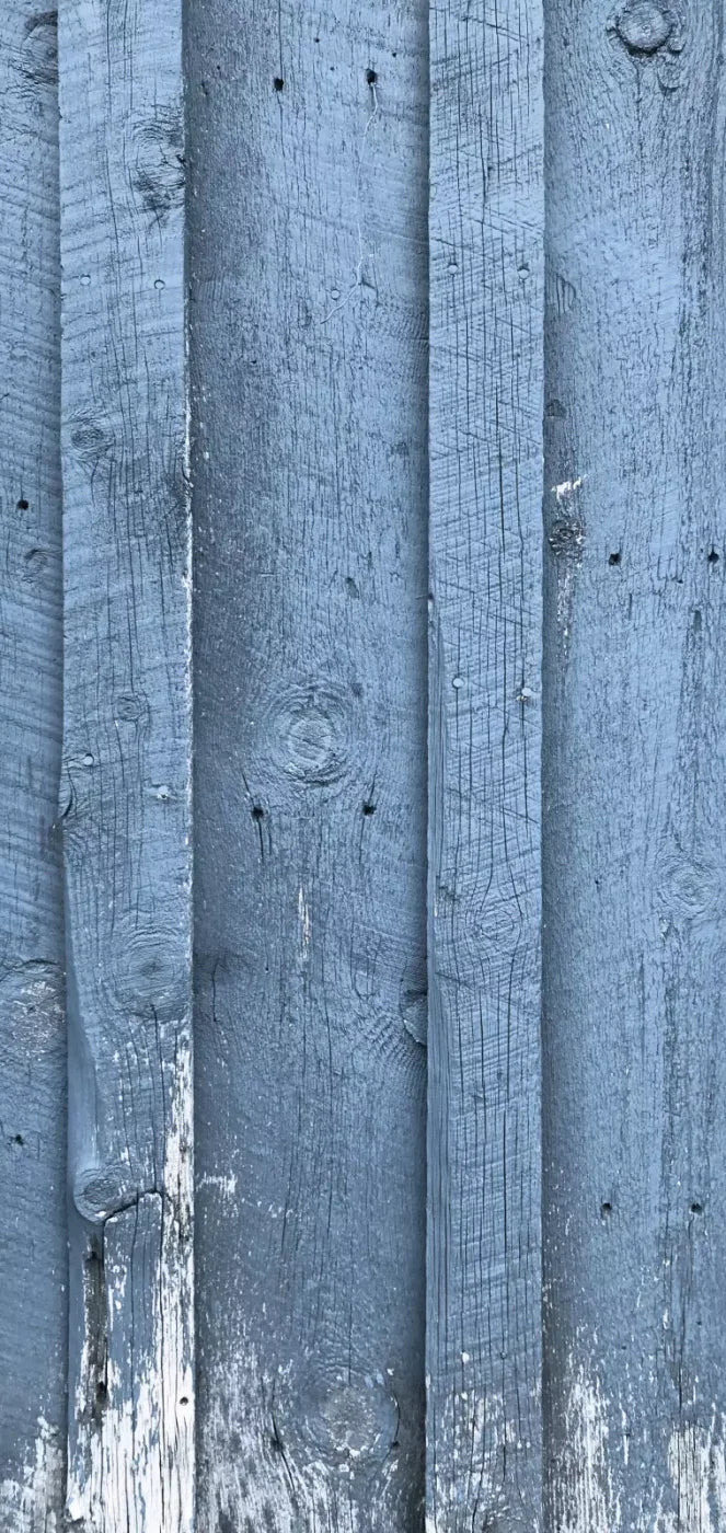 Wheeler 8’X16’ Ultracloth (96 X 192 Inch) Backdrop