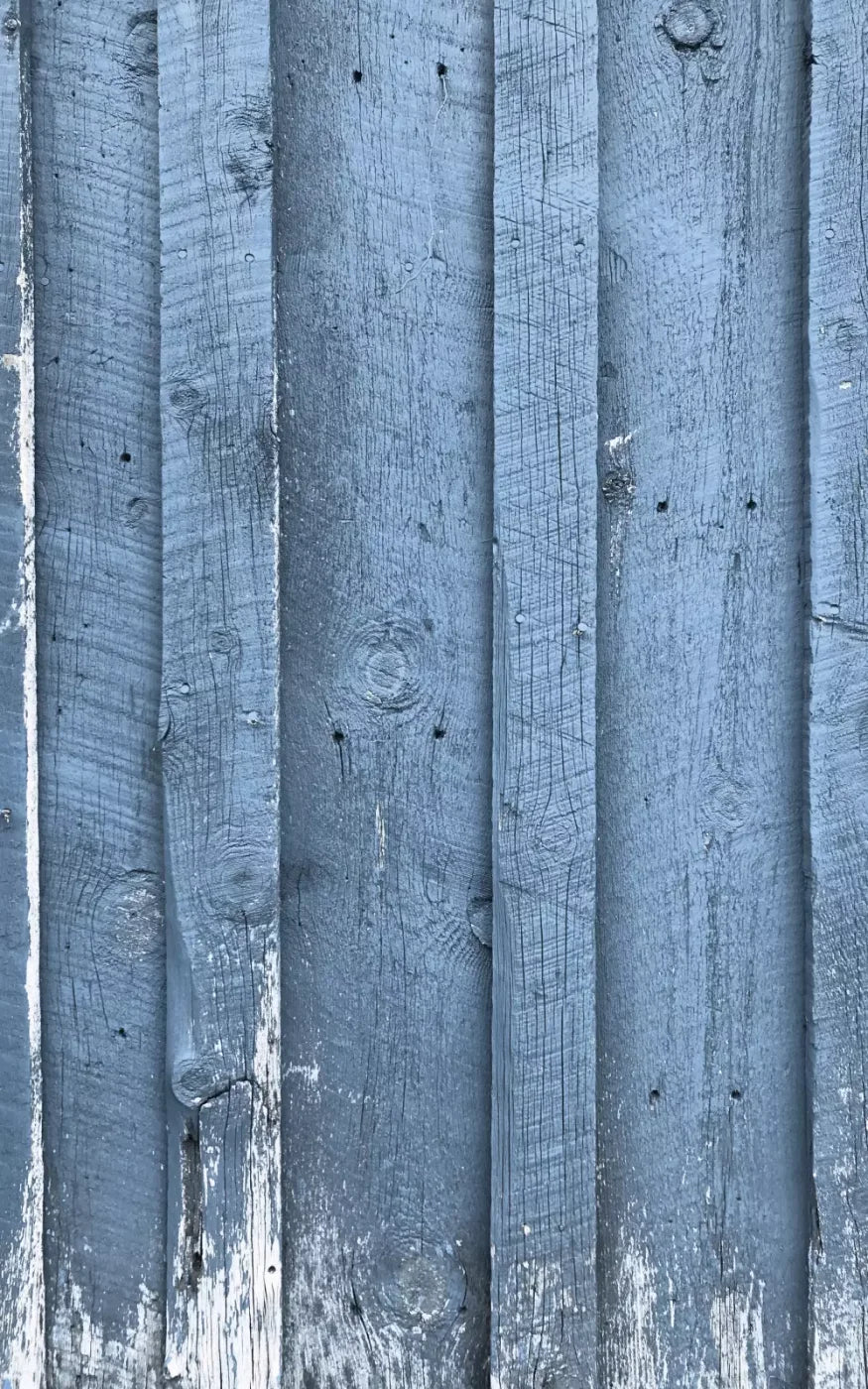 Wheeler 9’X14’ Ultracloth (108 X 168 Inch) Backdrop