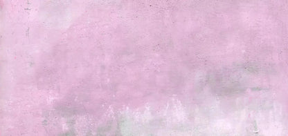 Whendy 16X8 Ultracloth ( 192 X 96 Inch ) Backdrop
