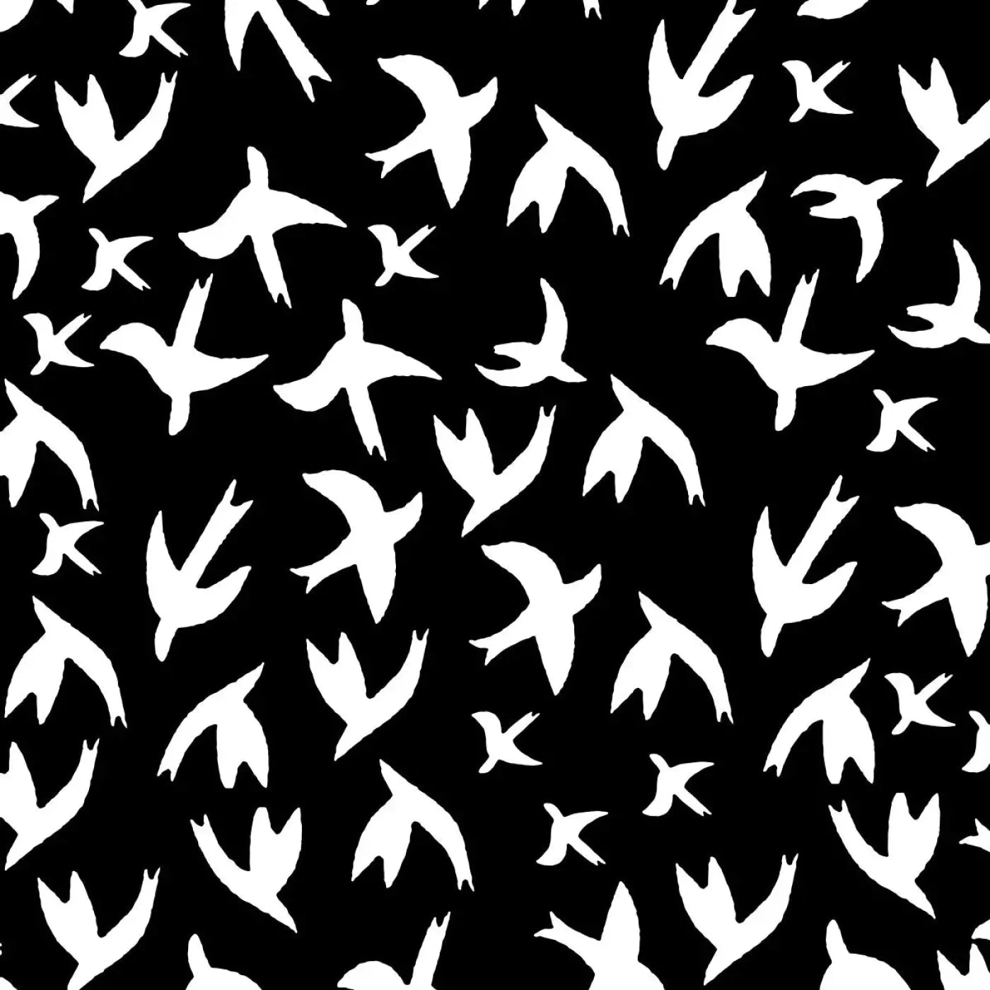 White Bird 5X5 Rubbermat Floor ( 60 X Inch ) Backdrop