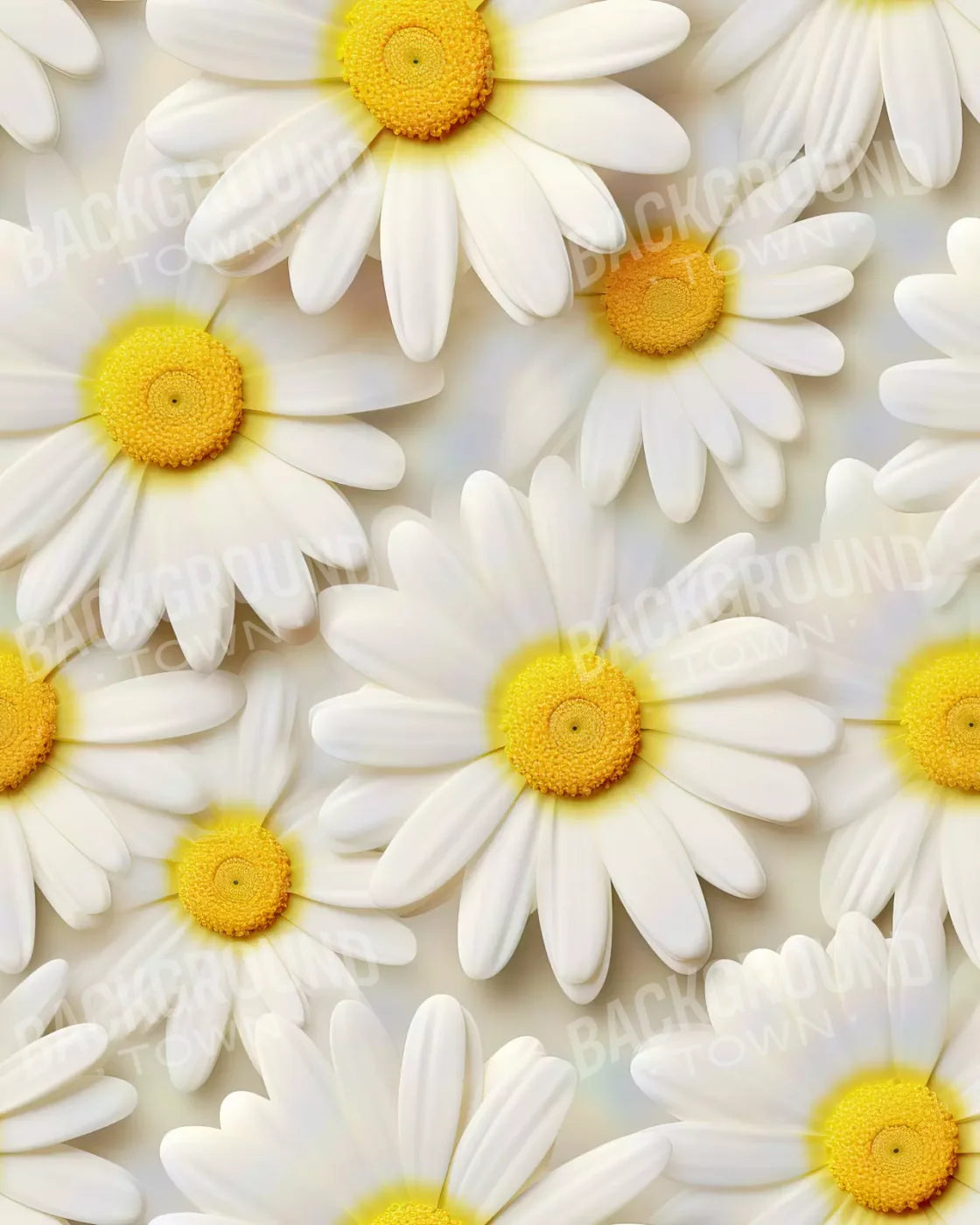 White Daisy I 8X10 Fleece ( 96 X 120 Inch ) Backdrop