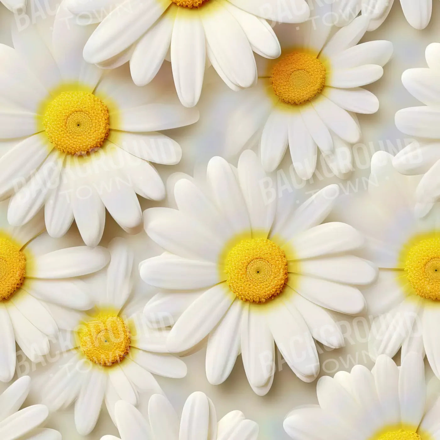 White Daisy I 8X8 Fleece ( 96 X Inch ) Backdrop