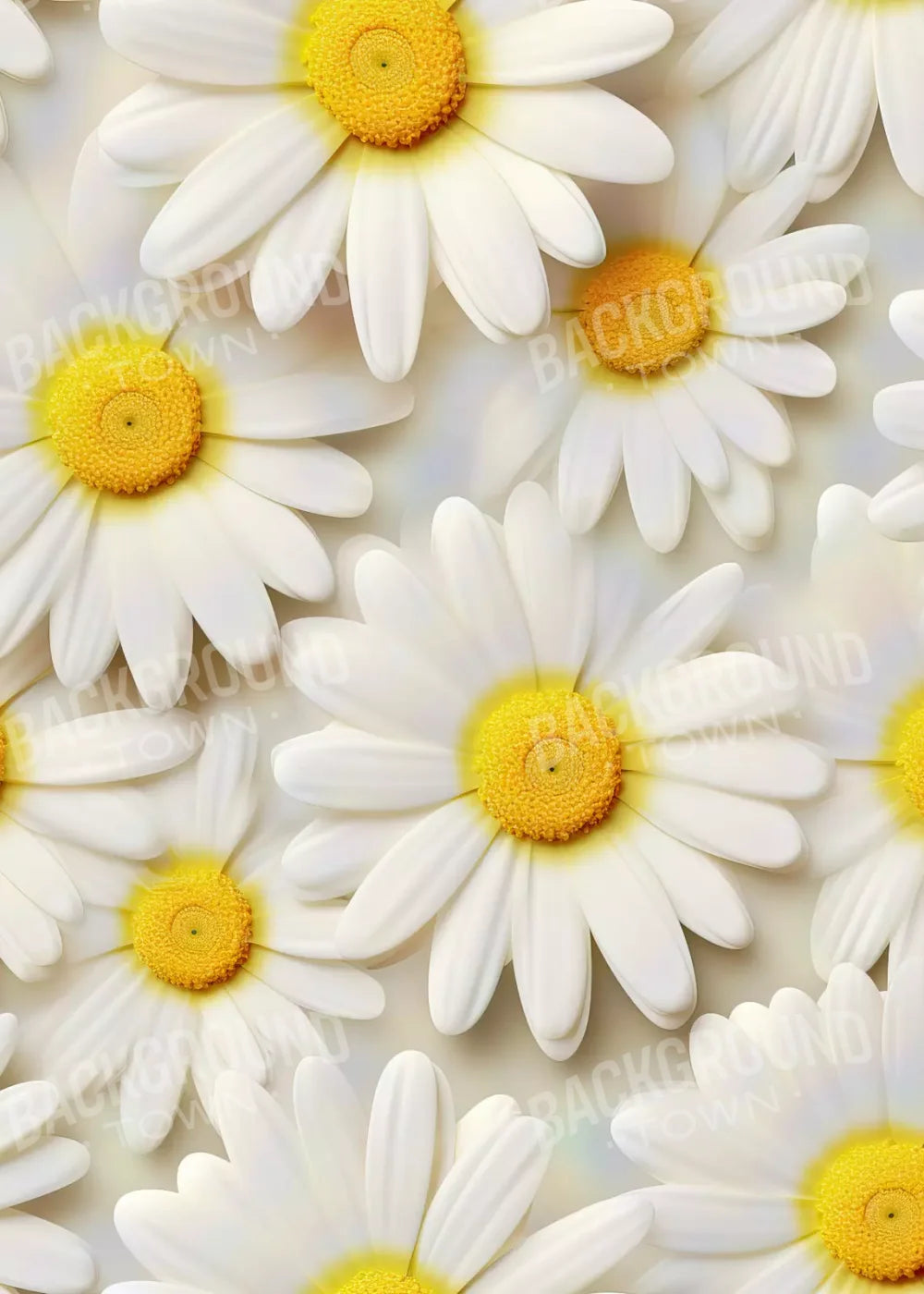 White Daisy I 5X7 Ultracloth ( 60 X 84 Inch ) Backdrop