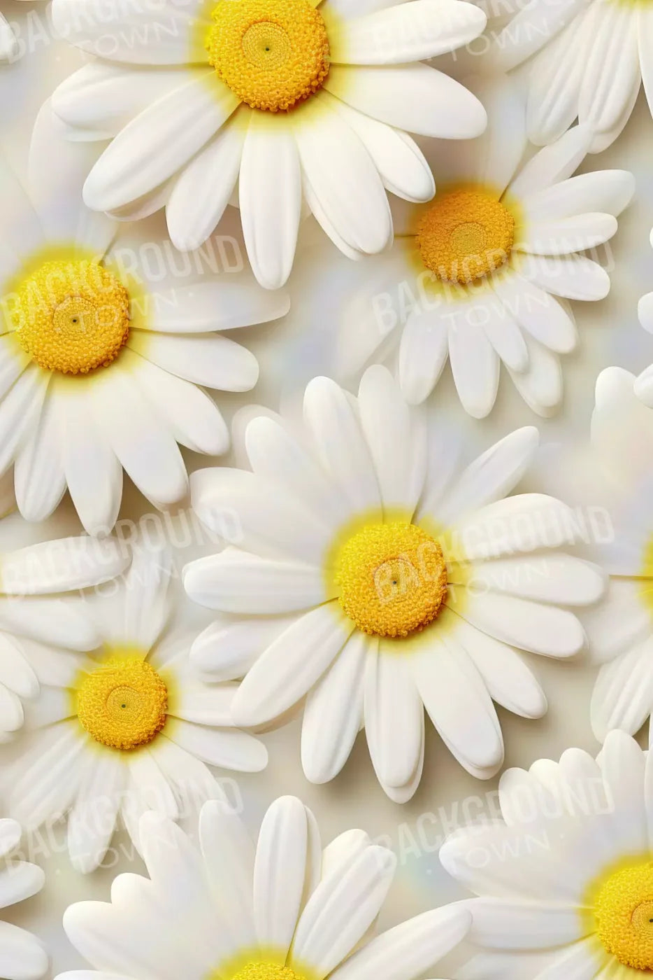 White Daisy I 8X12 Ultracloth ( 96 X 144 Inch ) Backdrop