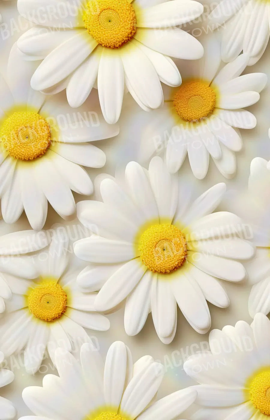 White Daisy I 9X14 Ultracloth ( 108 X 168 Inch ) Backdrop