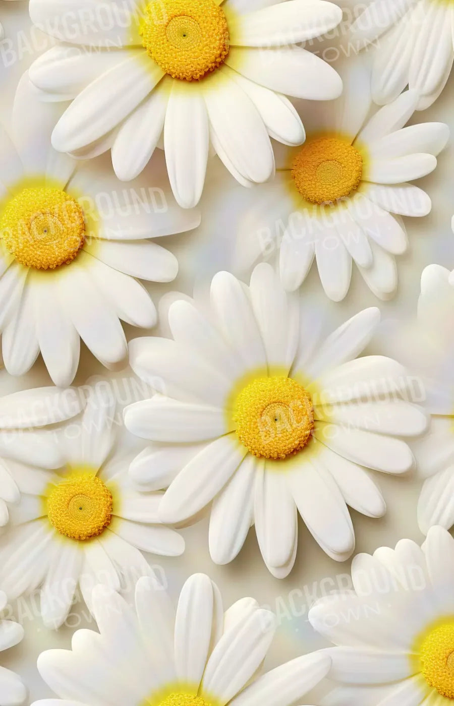White Daisy I 9X14 Ultracloth ( 108 X 168 Inch ) Backdrop