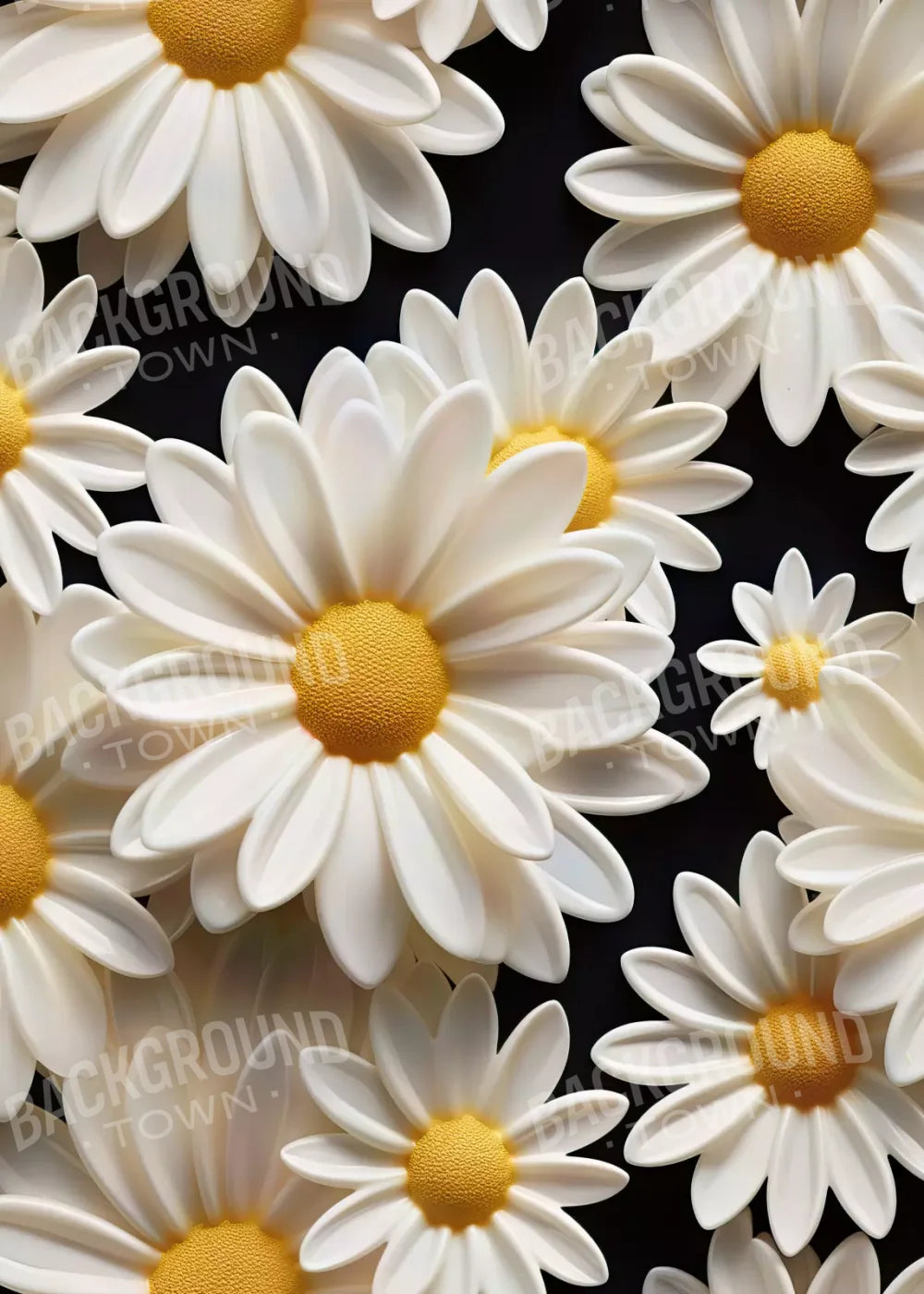 White Daisy Ii 5X7 Ultracloth ( 60 X 84 Inch ) Backdrop