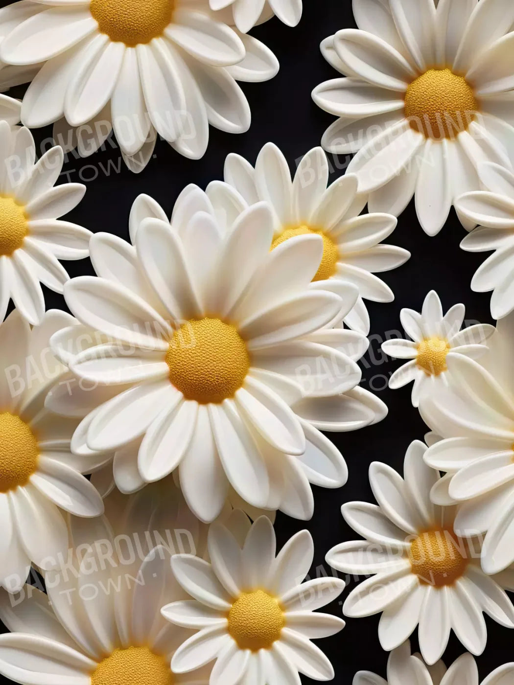 White Daisy Ii 6X8 Fleece ( 72 X 96 Inch ) Backdrop