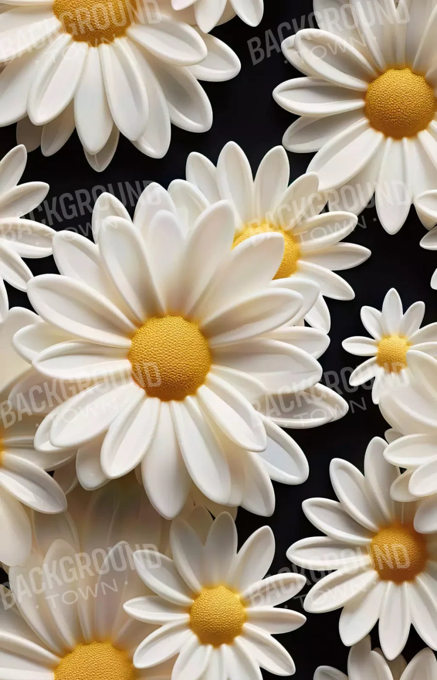 White Daisy Ii 9X14 Ultracloth ( 108 X 168 Inch ) Backdrop
