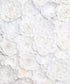 White Floral Backdrop for Photography