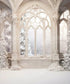 Christmas Holiday Ballroom  Backdrop for Photography