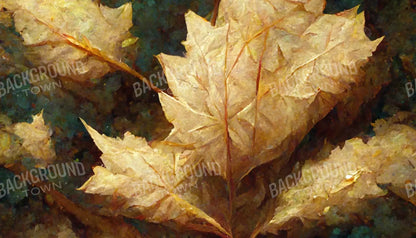 White Maple 14’X8’ Ultracloth (168 X 96 Inch) Backdrop