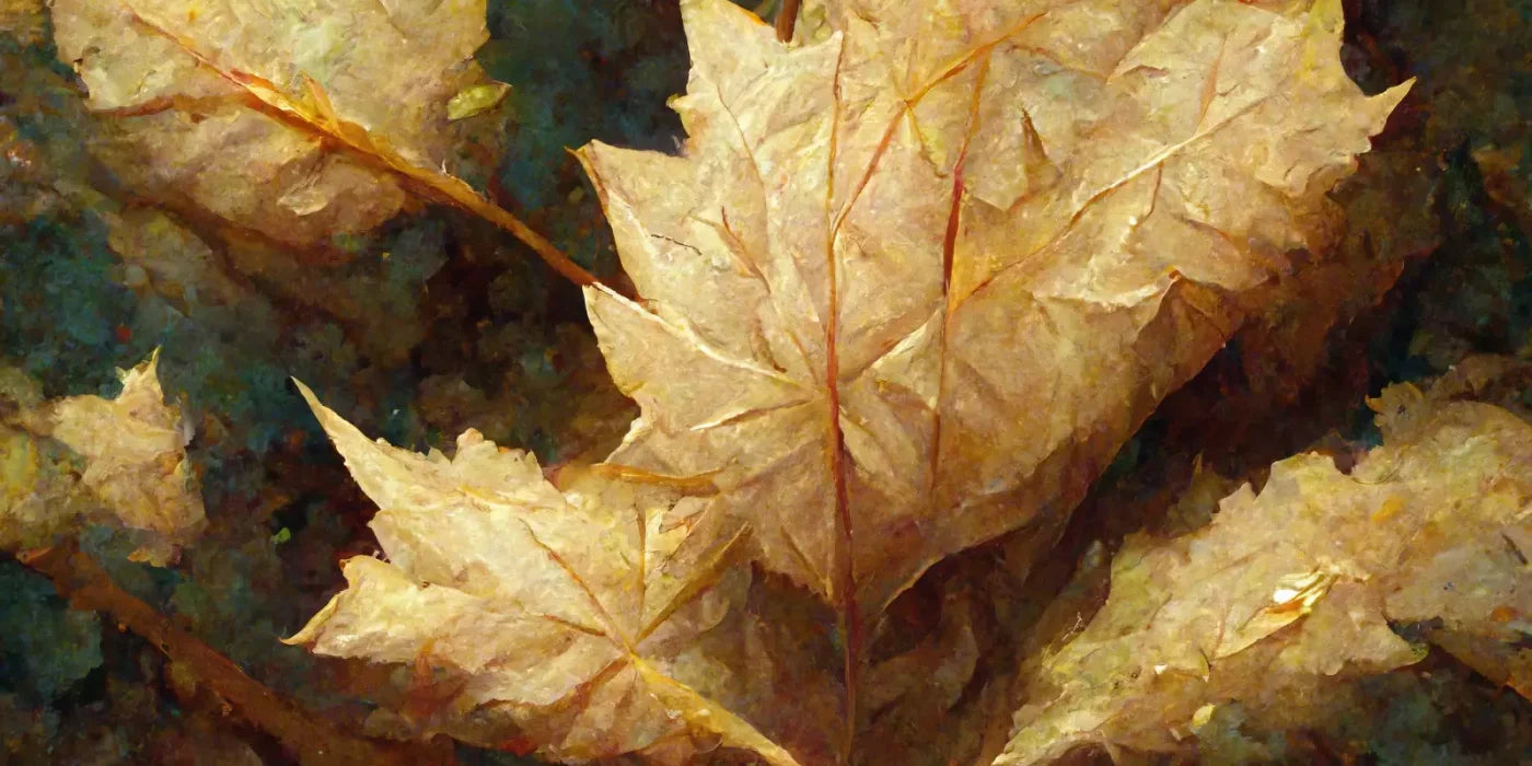White Maple 20’X10’ Ultracloth (240 X 120 Inch) Backdrop