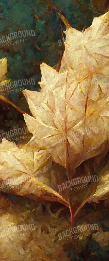 White Maple 5’X12’ Ultracloth For Westcott X-Drop (60 X 144 Inch) Backdrop