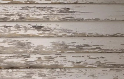 White Paint 12X8 Ultracloth ( 144 X 96 Inch ) Backdrop