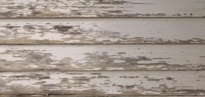 White Paint 16X8 Ultracloth ( 192 X 96 Inch ) Backdrop